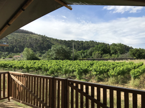 Vue depuis la terrasse d'une tente safari avec clôture sur des champs verts, à Camping De l'Olivigne, en France.