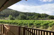 Vue depuis la terrasse d'une tente safari avec clôture sur des champs verts, à Camping De l'Olivigne, en France.
