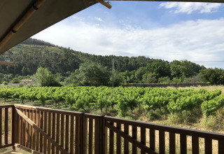 Udsigt fra en safaritelts terrasse med hegn mod en grøn mark og træbeklædte bakker hos Camping De l'Olivigne.
