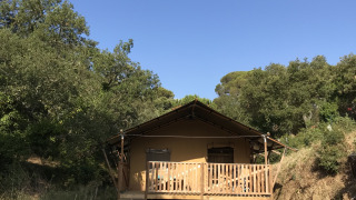 Safari tent with sanitary facilities, surrounded by trees and nature under a clear blue sky.