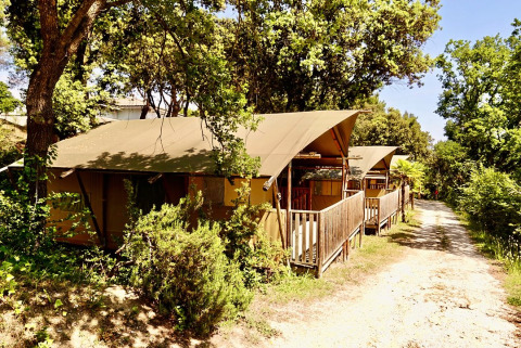 Tienda safari con instalaciones sanitarias privadas en el camping Sierra, rodeada de árboles y naturaleza soleada.