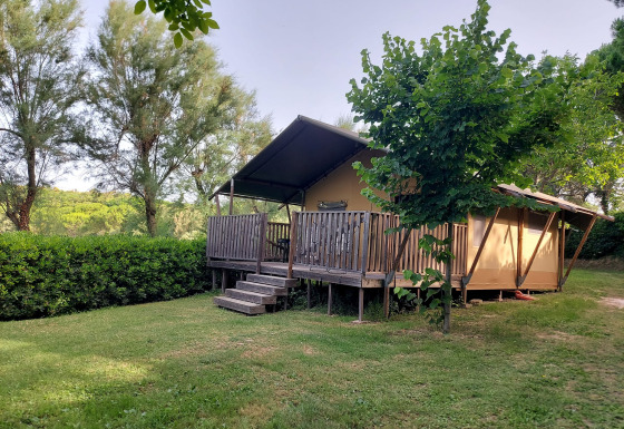 Safari tent with sanitary facilities, wooden porch and steps, surrounded by greenery and tall trees.
