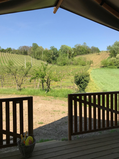 Udsigt fra en safariteltterrasse med træhegn til vinmarker og grønne bakker ved Agriturismo Le Sorgive e Le Volpi i Italien.