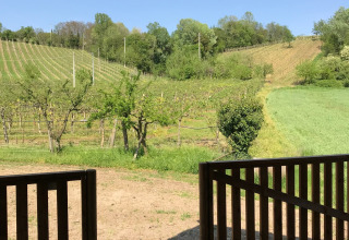 Vue depuis la terrasse d'une tente safari avec barrière en bois sur les vignobles et collines à Agriturismo Le Sorgive e Le Volpi, Italie.
