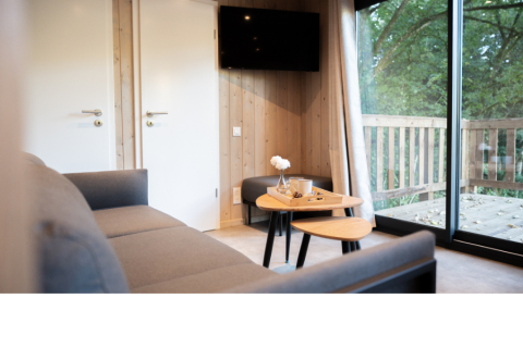 Moderne lodge woonkamer met bank, salontafels, tv en groot raam met uitzicht op de natuur buiten.