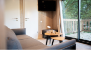 Modernes Lodge-Wohnzimmer mit Sofa, Couchtisch, Flachbildfernseher und Blick ins Grüne durch Fenster.