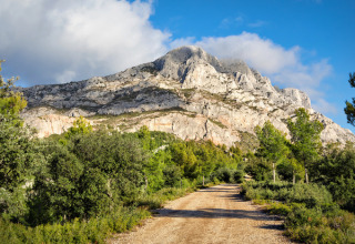 Sti omgivet af grøn vegetation med udsigt til det imponerende bjerg Sainte-Victoire nær Aix-en-Provence.
