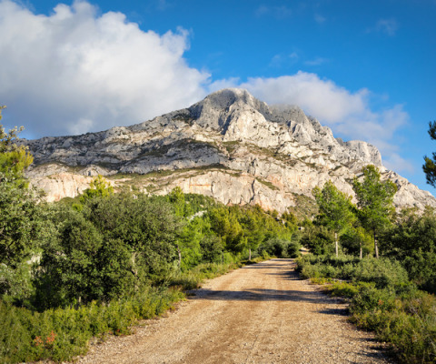 Pad omringd door groen en zicht op de Sainte-Victoire berg nabij Aix-en-Provence in Zuid-Frankrijk.