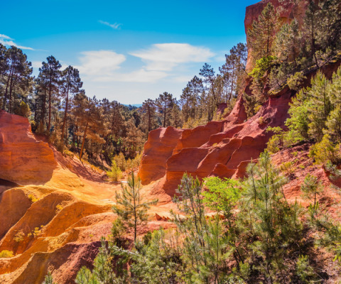 Colorful ochre rock formations and pine trees near Aix-en-Provence, Provence-Alpes-Côte d’Azur, France.