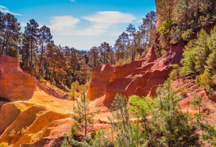 Kleurige rotsen en dennenbomen bij Aix-en-Provence, Provence-Alpes-Côte d’Azur, Frankrijk, in de zon.