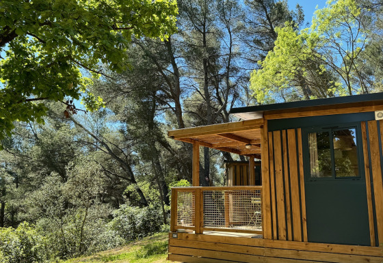 Evasion Chalet cabin with wood panels and a porch nestled among tall green trees on a sunny day.
