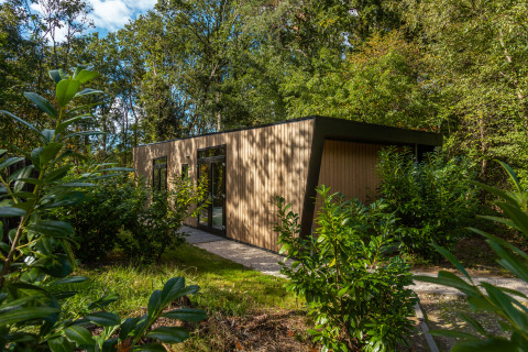Modern tiny house Bosrand Wellness Cabin Premium surrounded by greenery, with wood siding and large windows.