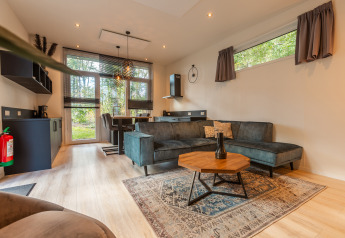 Moderne woonkamer en keuken in Bosrand Wellness Cabin Premium op Vakantiepark De Wiltzangh, Nederland.