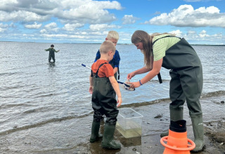Des enfants et une adulte en cuissardes explorent le bord de l'eau à Hvalpsund Familie Camping, Danemark.