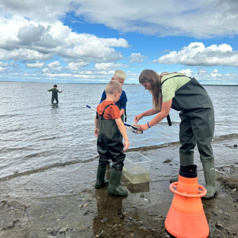 Kinder und eine Erwachsene in Watthosen erkunden das Wasser bei Hvalpsund Familie Camping in Nordjütland.