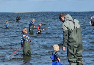 Persone e bambini con stivali da pesca pescano nelle acque basse vicino a Farsø, Jutland settentrionale.