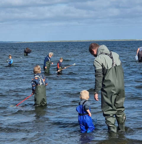 People and children in waders fishing in shallow water near Farsø, North Jutland on a partly cloudy day.