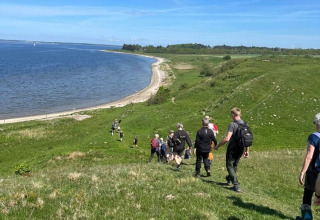 En gruppe mennesker vandrer ned ad en bakke mod stranden ved Hvalpsund Familie Camping, Nordjylland.