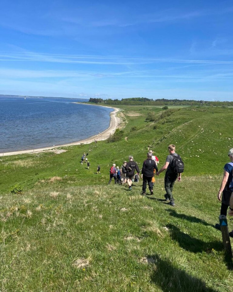 Een groep mensen wandelt een groene heuvel af richting het strand bij Hvalpsund Familie Camping, Noord-Jutland.