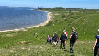 En gruppe mennesker vandrer ned ad en bakke mod stranden ved Hvalpsund Familie Camping, Nordjylland.
