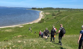 Un grupo de personas baja una colina verde hacia la playa en Hvalpsund Familie Camping, Jutlandia Septentrional.
