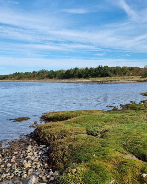 Paysage côtier près de Farsø, Jutland du Nord, Danemark, avec berge herbeuse, plage de galets et eau calme.
