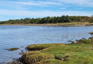 Paisaje costero cerca de Farsø, Jutlandia del Norte, Dinamarca, con orilla verde, piedras y agua tranquila.
