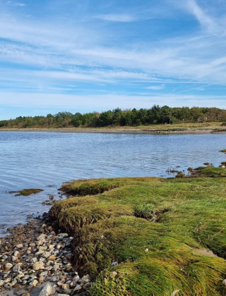 Kystlandskab nær Farsø i Nordjylland, Danmark, med grønt græs, stenstrand og roligt vand.