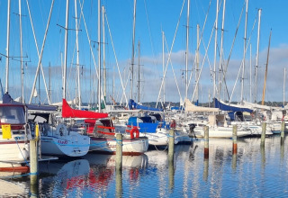Segelboote liegen angelegt im kleinen Hafen bei Farsø, Nordjütland, Dänemark, unter blauem Himmel.