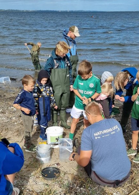Kinderen en volwassenen ontdekken het strandleven bij Hvalpsund Familie Camping in Noord-Jutland, Denemarken.