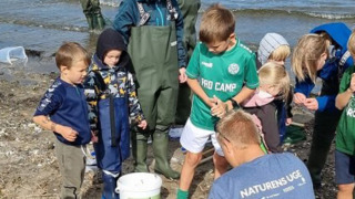 Børn og voksne udforsker strandliv ved Hvalpsund Familie Camping, Nordjylland under naturaktivitet.