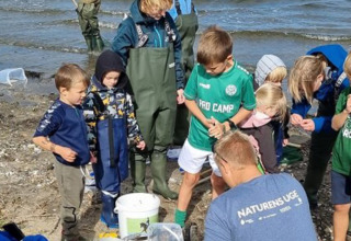Niños y adultos exploran la naturaleza costera en Hvalpsund Familie Camping, parque de vacaciones en Dinamarca.