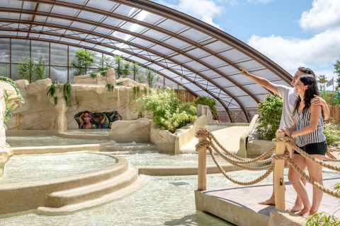 Couple admirant le parc aquatique intérieur et la végétation luxuriante au Flower Camping Au Bois Des Biches.