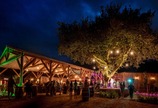 Photo nocturne d’un espace extérieur éclairé avec des invités au Flower Camping Au Bois Des Biches, France.