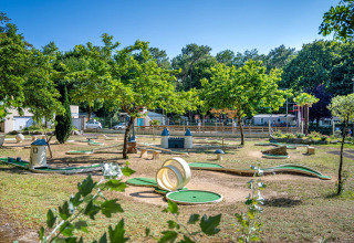 Minigolfplatz mit Bäumen und Ferienpark im Hintergrund bei Flower Camping Au Bois Des Biches in Frankreich.