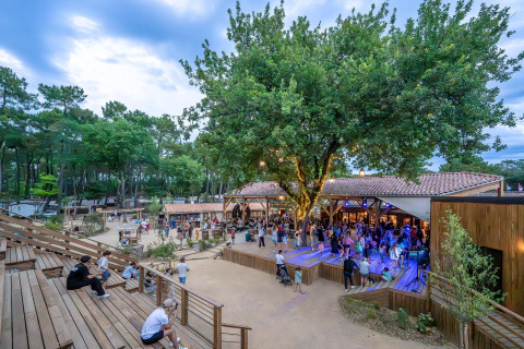 Outdoor area near Saint Hilaire de Riez with people sitting and gathering under a large, illuminated tree.