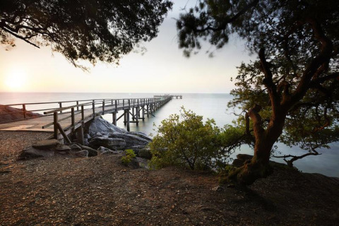 A wooden pier stretches into calm water at sunset, surrounded by trees at Flower Camping Au Bois Des Biches, France.