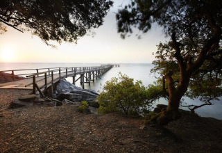 Un pontile di legno si estende sull’acqua calma al tramonto, circondato da alberi a Flower Camping Au Bois Des Biches.