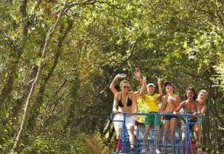 Un gruppo di persone si diverte su una draisina tra gli alberi verdi al Flower Camping Au Bois Des Biches, Francia.