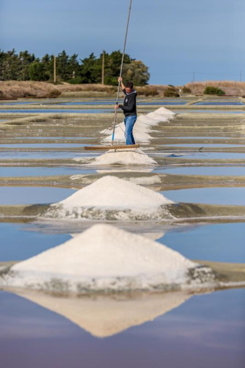 A worker piles salt into mounds at salt pans in Flower Camping Au Bois Des Biches, Pays de la Loire, France.