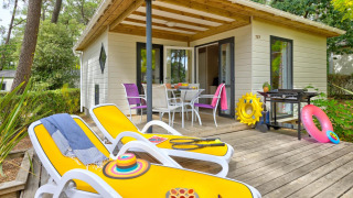 Zonnig terras bij Cottage Premium met gele ligstoelen, barbecue en buitenmeubilair in bosrijke omgeving.