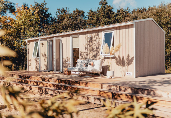 Moderne glampinghut met houten terras, buitensofa en planten, omgeven door natuur in het bos.