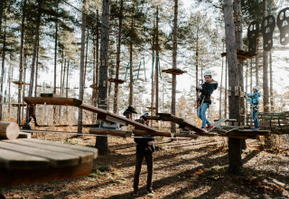 Kinder meistern einen Hochseilgarten bei Hobbit House, Cosy Cabins, im Wald von Limburg, Belgien, mit Helmen.