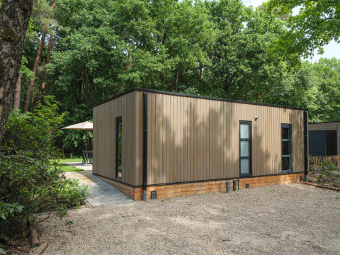 Moderne lodge Bosvilla Comfort in Veluwepark de Bosgraaf, omringd door bossen in Nederland.