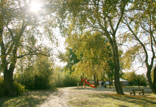 Area glamping soleggiata con parco giochi, grandi alberi e sentieri. Tende in lontananza.