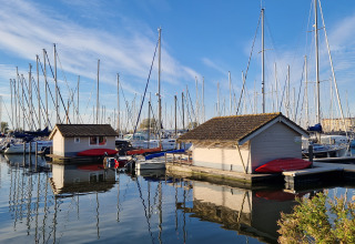 Barche e chalet al Marina Parcs Almere nei Paesi Bassi, riflesse sull’acqua calma sotto un cielo sereno.
