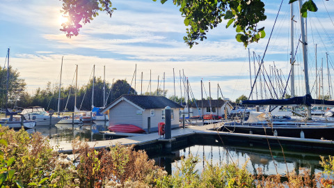 Zonnige dag bij de Chalets van Marina Parcs Almere in Nederland, met jachten, hutten en weelderig groen.