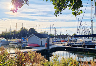 Zonnige dag bij Chalets at Marina Parcs Almere in Nederland, met zeilboten, huisjes en groene natuur.