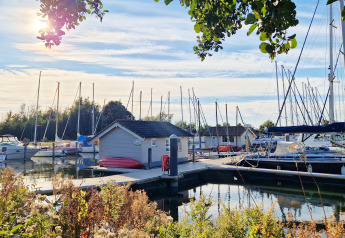 Solrig dag ved Marina Parcs Almere i Holland, med sejlbåde, hytter og frodige planter i forgrunden.