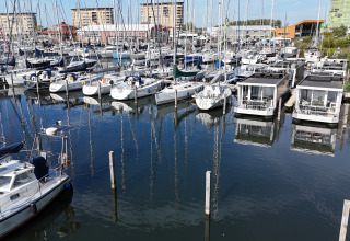 Vista de veleros y casas flotantes en Marina Parcs Almere, Países Bajos, en un día soleado y claro.